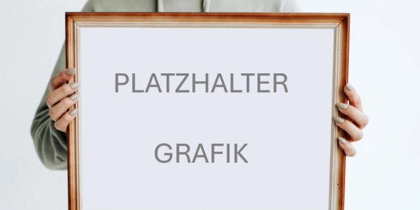 Alt-Text